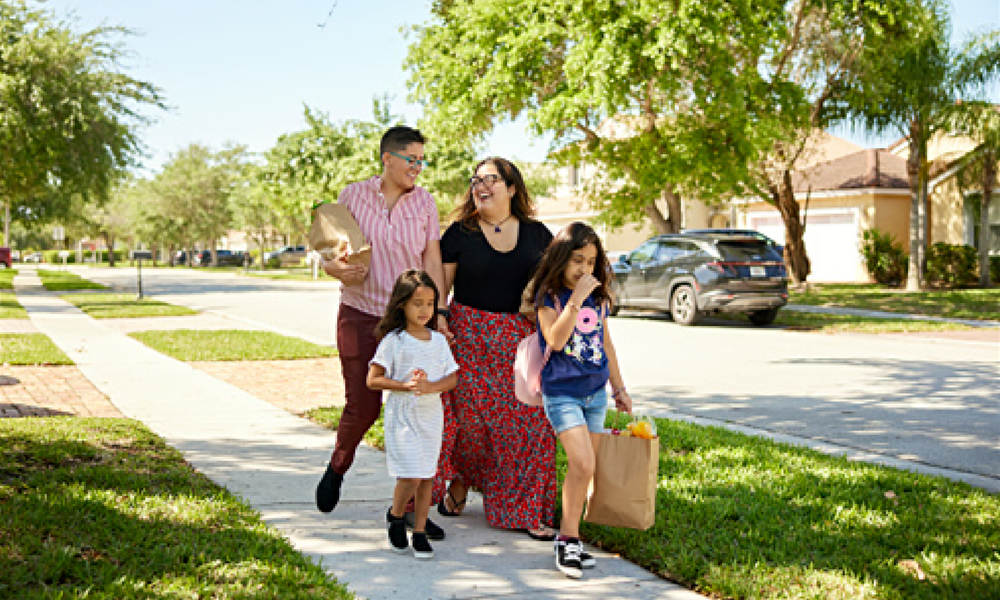 whole house solar generator