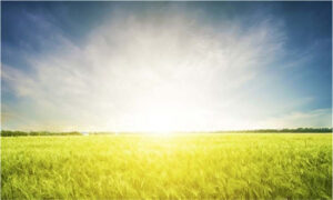 best solar generator for home