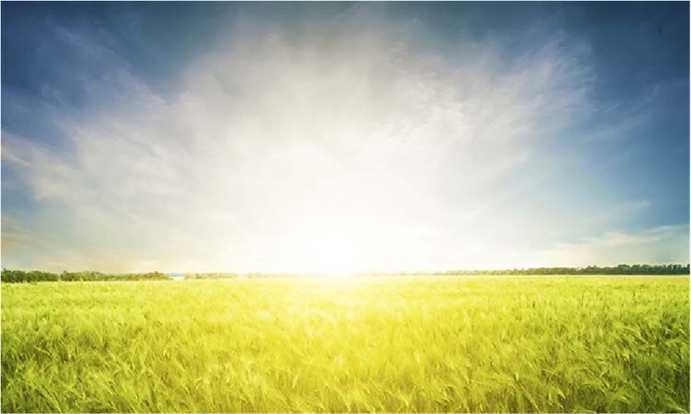 best solar generator for home